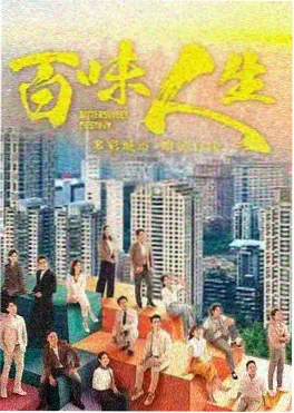 雾港迷局 热播悬疑剧集